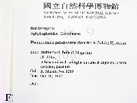 登錄號:F0016838藏品圖，第2張