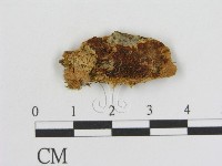 登錄號:F0016839藏品圖，第1張