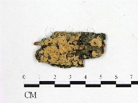 登錄號:F0016840藏品圖，第1張