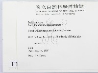 登錄號:F0016841藏品圖，第2張