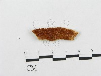 登錄號:F0016841藏品圖，第1張