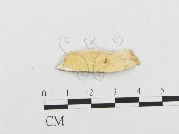登錄號:F0016841藏品圖，第3張
