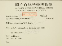 登錄號:F0016842藏品圖，第2張