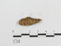 登錄號:F0016842藏品圖，第1張