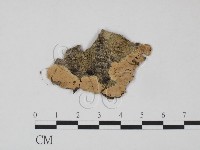 登錄號:F0016843藏品圖，第1張