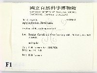 登錄號:F0016844藏品圖，第2張