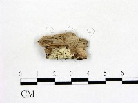 登錄號:F0016844藏品圖，第1張