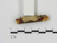 登錄號:F0016845藏品圖，第1張