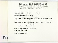 登錄號:F0016846藏品圖，第2張