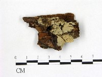 登錄號:F0016846藏品圖，第1張