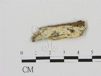 登錄號:F0016847藏品圖，第1張