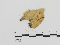 登錄號:F0016848藏品圖，第1張