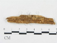 登錄號:F0016850藏品圖，第1張