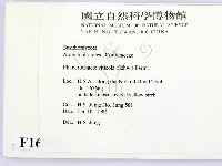 登錄號:F0016851藏品圖，第2張