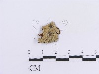 登錄號:F0016852藏品圖，第1張