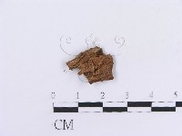 登錄號:F0016852藏品圖，第3張