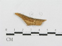登錄號:F0016854藏品圖，第1張