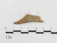 登錄號:F0016854藏品圖，第3張