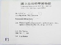 登錄號:F0016855藏品圖，第2張