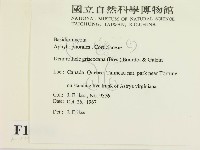 登錄號:F0016856藏品圖，第2張