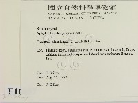 登錄號:F0016857藏品圖，第2張