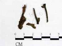 登錄號:F0016858藏品圖，第1張
