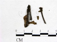 登錄號:F0016858藏品圖，第3張
