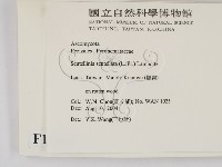 登錄號:F0016860藏品圖，第2張