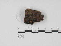 登錄號:F0016860藏品圖，第1張