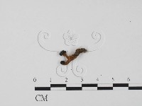 登錄號:F0016861藏品圖，第3張
