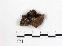 登錄號:F0016863藏品圖，第1張
