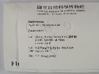 登錄號:F0016864藏品圖，第2張