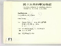 地星屬藏品圖，第2張