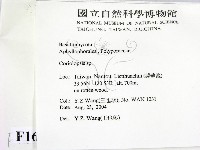 登錄號:F0016866藏品圖，第2張