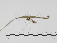 登錄號:F0016867藏品圖，第3張