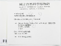 登錄號:F0016869藏品圖，第2張