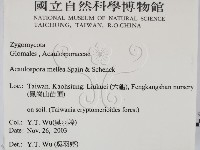 登錄號:F0016871藏品圖，第2張