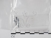 登錄號:F0016872藏品圖，第1張