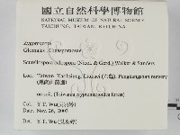 登錄號:F0016873藏品圖，第2張