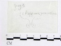 登錄號:F0016874藏品圖，第1張