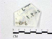 登錄號:F0016875藏品圖，第1張