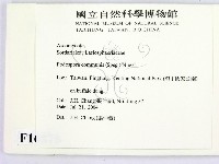 登錄號:F0016878藏品圖，第2張