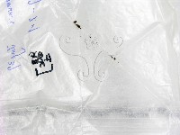 登錄號:F0016878藏品圖，第1張