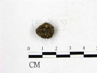 登錄號:F0016879藏品圖，第1張