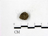 登錄號:F0016879藏品圖，第3張