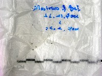 登錄號:F0016880藏品圖，第1張