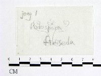 登錄號:F0016881藏品圖，第1張