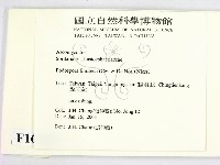 登錄號:F0016882藏品圖，第2張