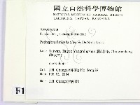 登錄號:F0016883藏品圖，第2張