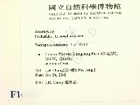 登錄號:F0016885藏品圖，第2張